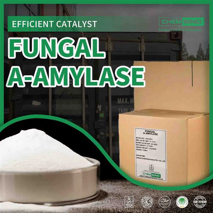 Enzýmy na pečenie Plesňová alfa amyláza produkovaná Aspergillus Oryzae