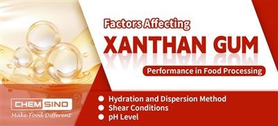 Faktory ovplyvňujúce výkonnosť xantánovej gumy pri spracovaní potravín