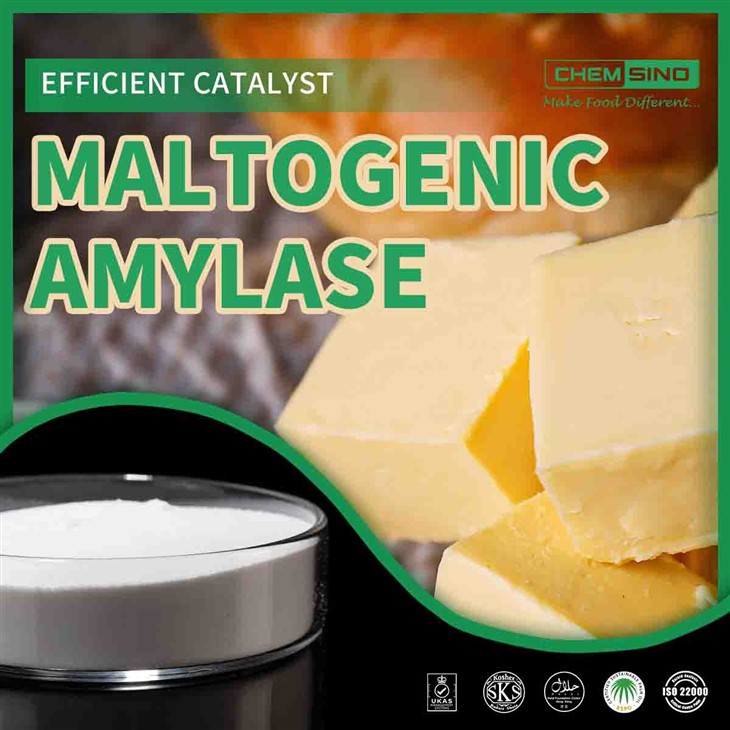 Hlavný enzým: Maltogénna amyláza pre bezkonkurenčnú chuť. Č. CAS. 9000-92-4